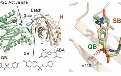 034 BIOTRANS