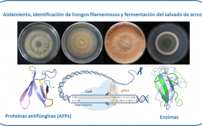 BIOVALRICE